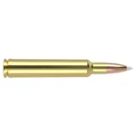 Nosler Bullets Inc. Nosler Trophy Grade Rifle Ammunition .300 Wby Mag Mag 180 gr AB 3175 fps 20/ct