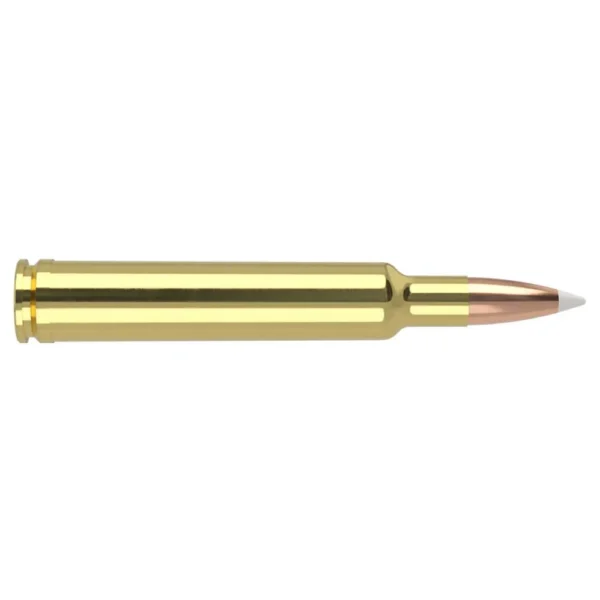 Nosler Bullets Inc. Nosler Trophy Grade Rifle Ammunition .300 Wby Mag Mag 180 gr AB 3175 fps 20/ct