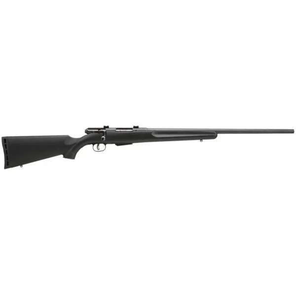 Savage Arms SAV 25 WLKNG VRMNTR 17HRNT 22" 4RD