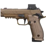 Sig Sauer SIG P226 AGENCY 9MM 3.8 10R CMP RXSL