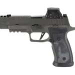 Sig Sauer SIG P320AXG 9MM 3.9" 10RD LEG RXSL