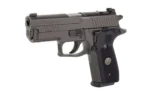 Sig Sauer P229 Legion Compact Handgun 9mm Luger 10rd Magazines (3) 3.9" Barrel Legion Grey Optics Ready No Manual Safety