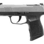 Sig Sauer SIG P365 9MM 3.1" 10RD OR BLK/SS