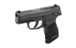 Sig Sauer SIG P365 MS 380ACP 3.1" 10RD NS MA - alternate view 3
