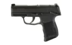 Sig Sauer SIG P365 MS 380ACP 3.1" 10RD NS MA