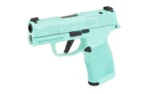 Sig Sauer SIG P365X 9MM 3.1" 12RD ROBINS EGG - alternate view 3