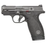 Smith & Wesson S&W BDYGRD 2.0 380ACP 2.75" 12RD NTS - alternate view 3