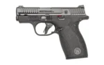 Smith & Wesson S&W BDYGRD 2.0 380ACP 2.75" 12RD NTS - alternate view 5