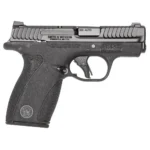 Smith & Wesson S&W BDYGRD 2.0 380ACP 2.75" 12RD NTS