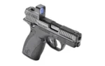 Smith & Wesson S&W BDYGRD 2.0 RFX1 380ACP 10RD TS - alternate view 4