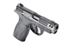Smith & Wesson S&W BODYGRD 2 CC 380ACP 3.1 12RD NTS - alternate view 4
