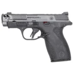 Smith & Wesson S&W BODYGRD 2 CC 380ACP 3.1 12RD NTS