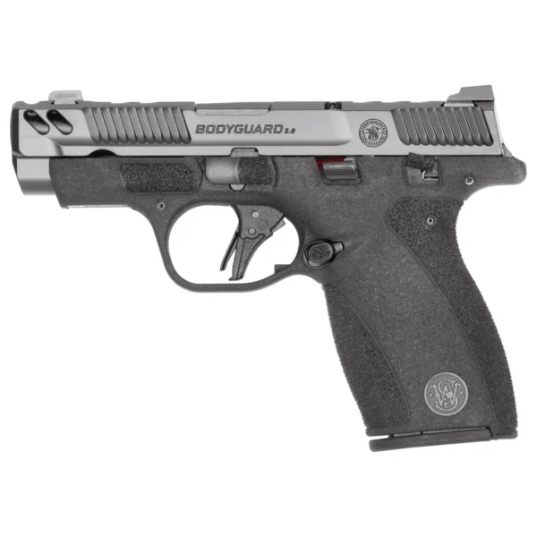 Smith & Wesson S&W BODYGRD 2 CC 380ACP 3.1" TS CA
