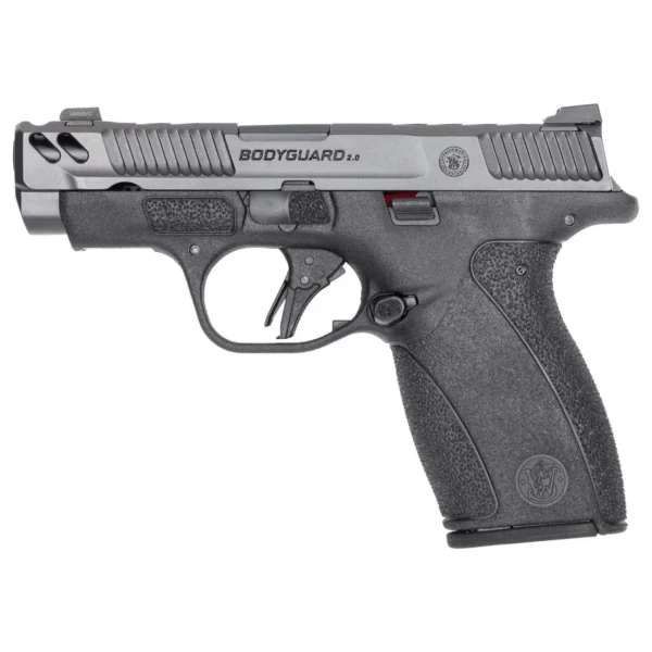 Smith & Wesson S&W BODYGRD 2 CC 380ACP 3.1 12RD NTS