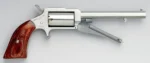 North American Arms NAA "EARL" 1860 22LR/WMR 3" 5RD