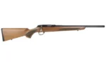 TIKKA T1X HUNTER 22LR 20" WD/BLU TB - alternate view 2