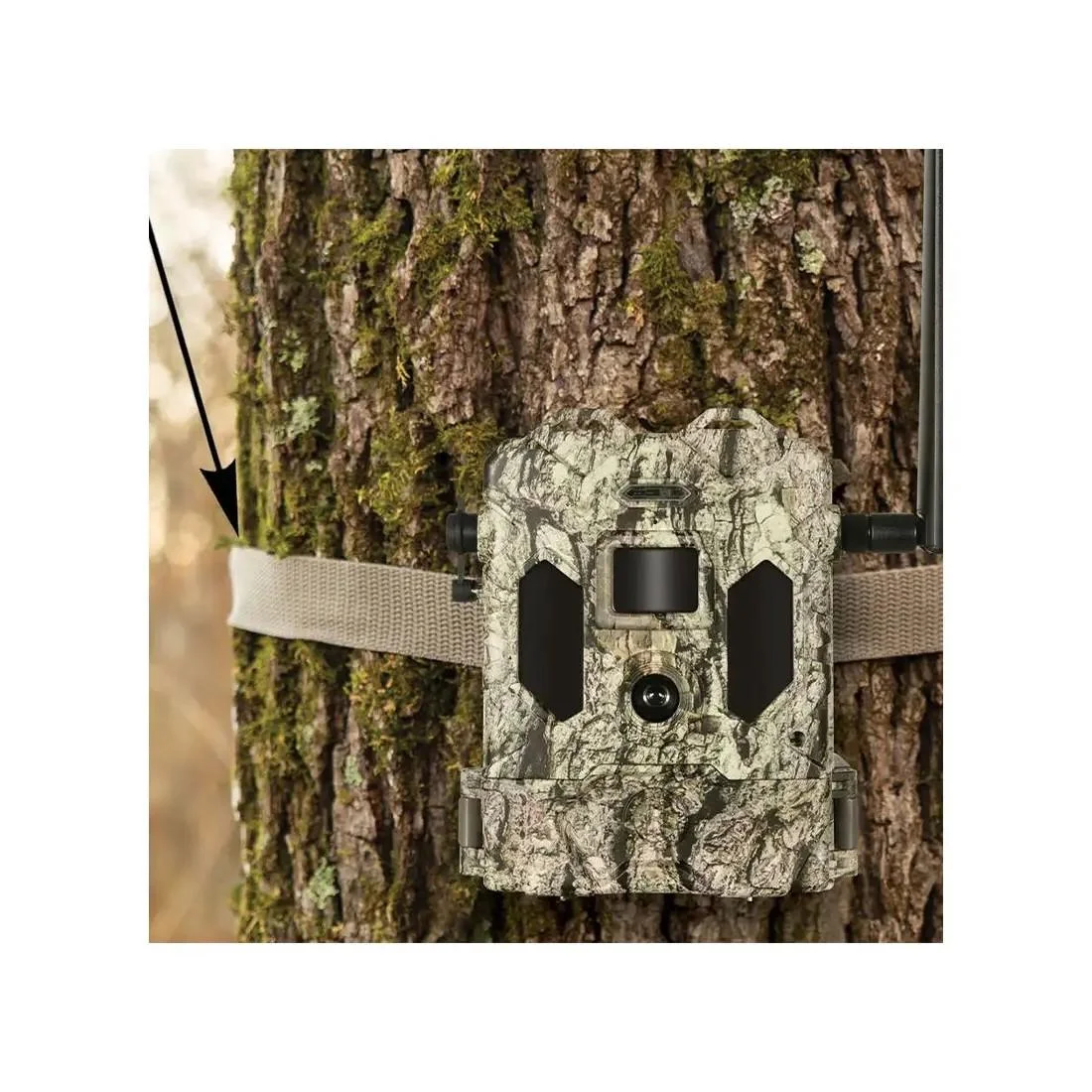 verizon-ready-cellular-trail-camera-24mp-camo-primary Bushnell Cellucore 24 Verizon Ready Cellular Trail Camera 24MP Camo